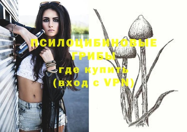 крисы Пролетарск