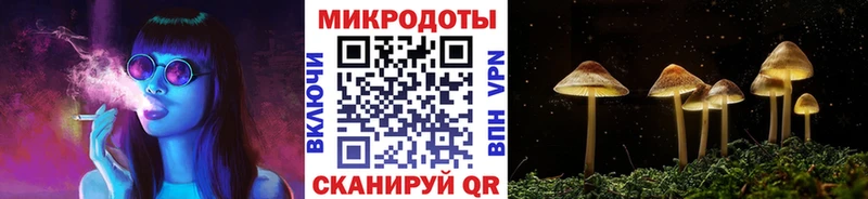 Купить где  Слободской  Галлюциногенные грибы GOLDEN TEACHER 